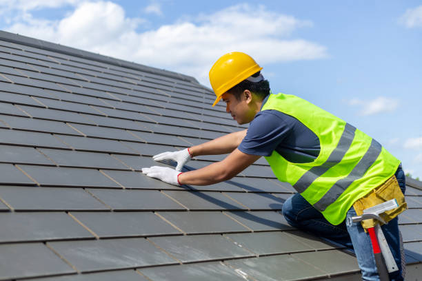 Quick and Trustworthy Emergency Roof Repair Services in Shoreview, MN