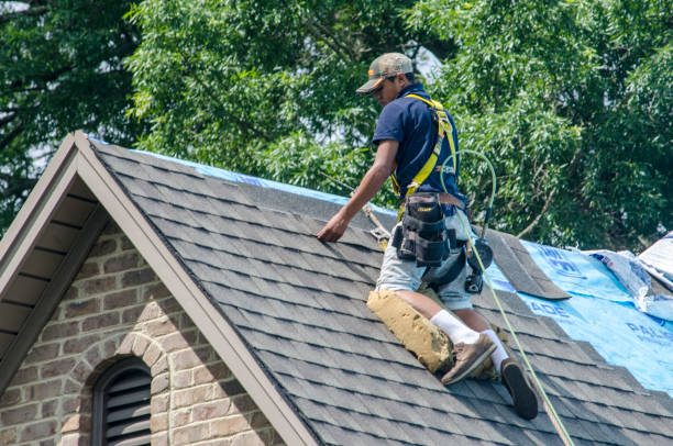 Best Roof Gutter Cleaning  in Shoreview, MN